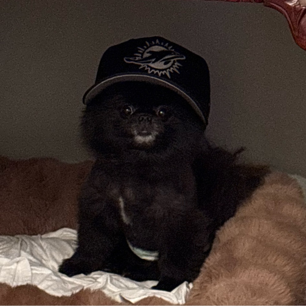 Meet your Posher, Chloé